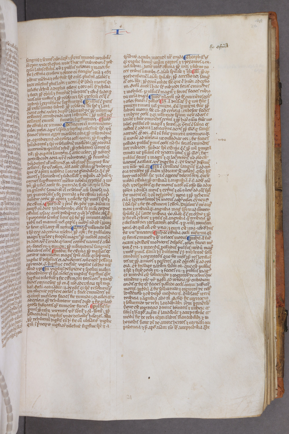 Folio 26 recto